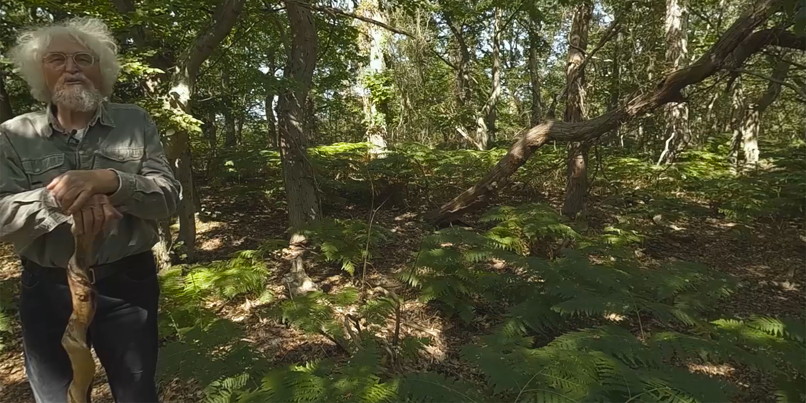 Man standing in a forest