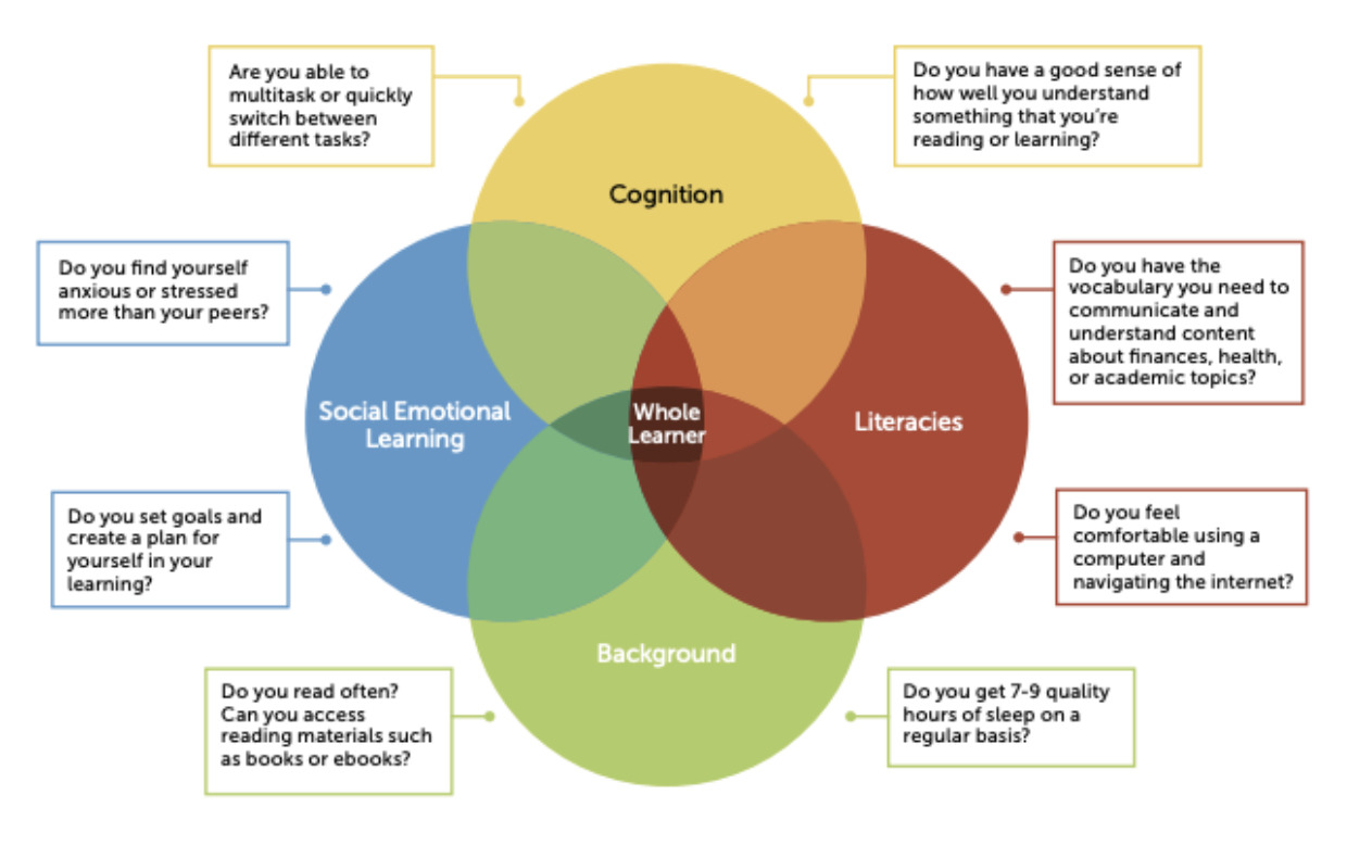 Promoting Digital Literacy for Adult Learners: A Resource Guide