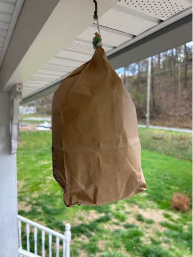 A picture of a faux hornet’s nest that deters insects