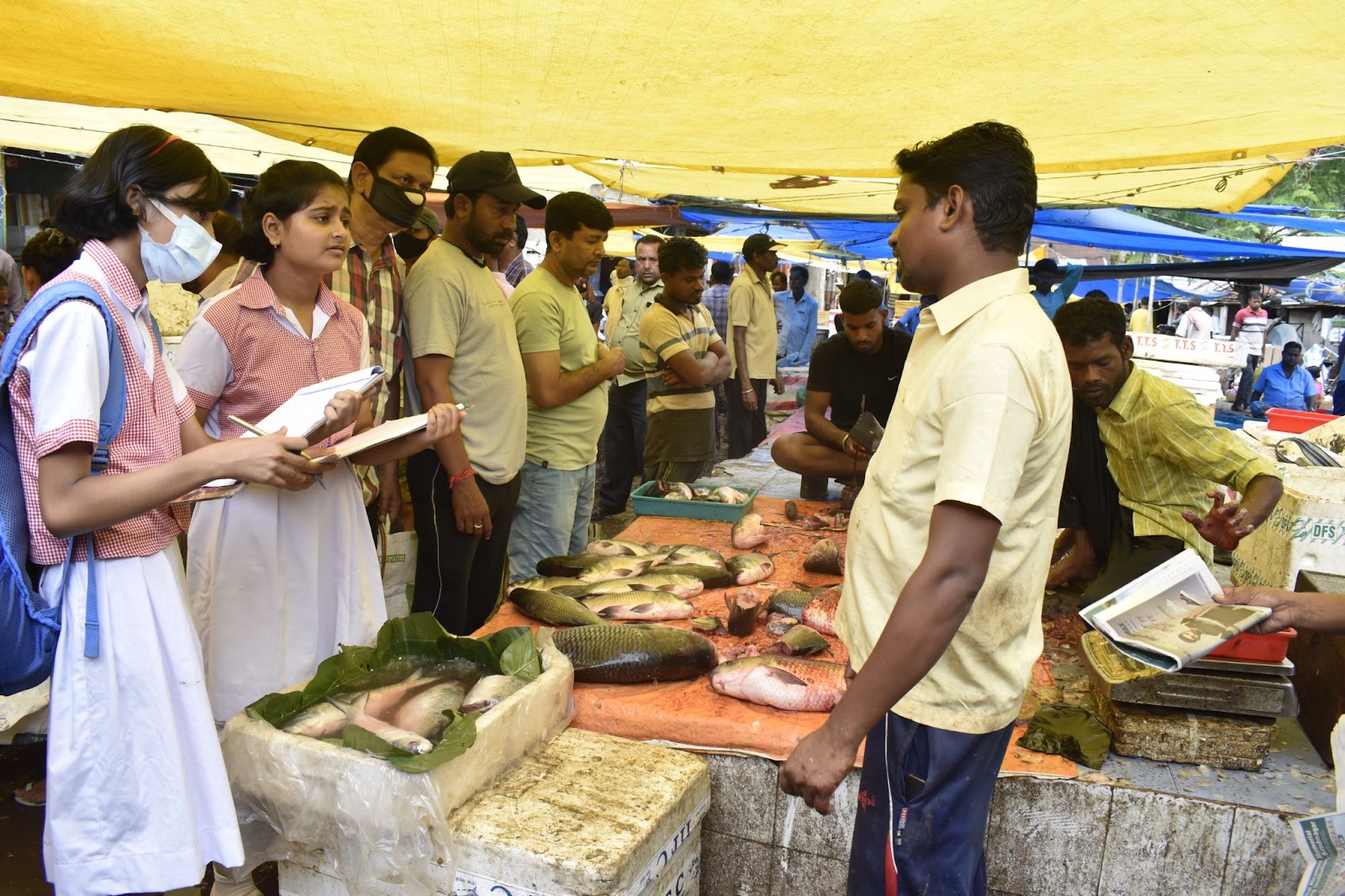 Two students at a busy fish market interview a merchant who stands behind his counter of fish. 