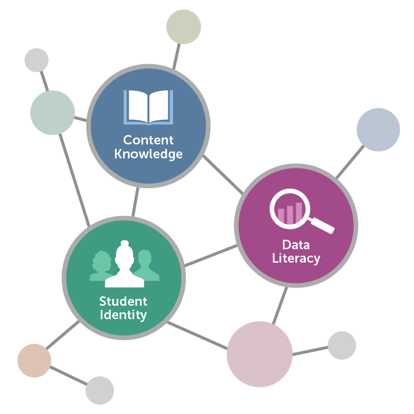 Grid chart with three interconnected circles. The green circle says student identity with outlines of people; the purple circle says data literacy with a picture of a magnifying glass; and the blue circle says content knowledge with a picture of a book.